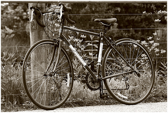 bicycles_01